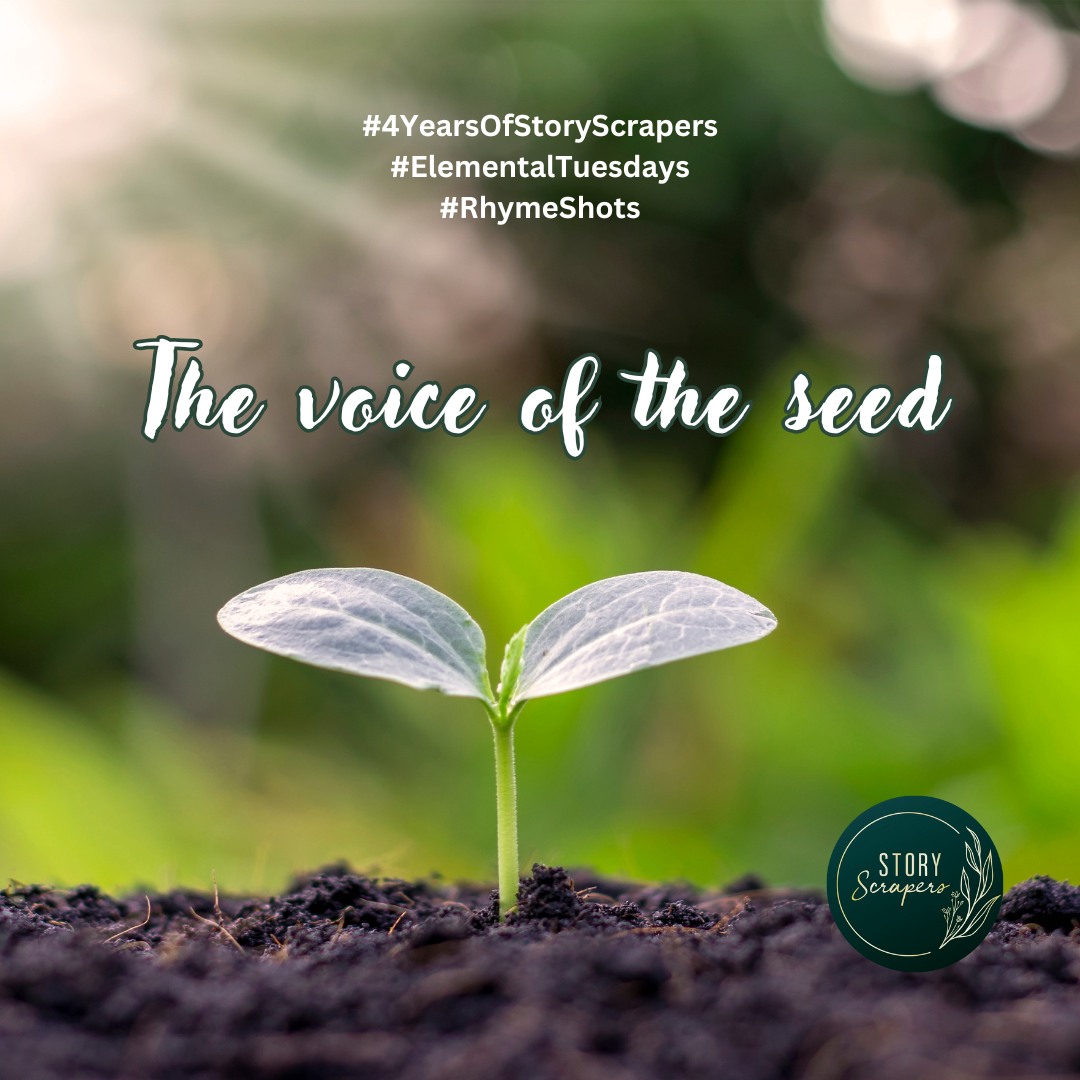 Rhymshot - element of life - land - voice of the seed