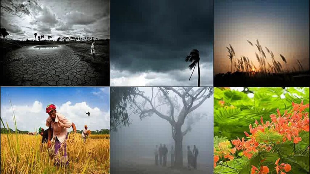 seasons india