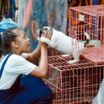 A young girl interacts with a playful puppy in a bustling Manila market setting.