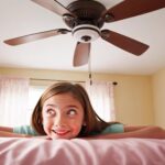 Canva AI Funny encounter with fan