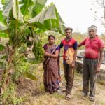 A family of farmers in Nagpur, India, harvesting bananas in a rural setting.