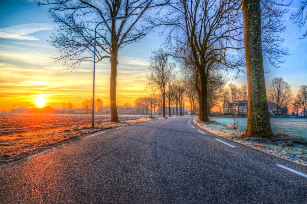 Beautiful sunrise over a frosty road lined with trees, offering a tranquil and vibrant morning view.
