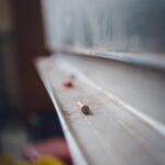 Dusty chalk resting on chalkboard ledge creating educational atmosphere.