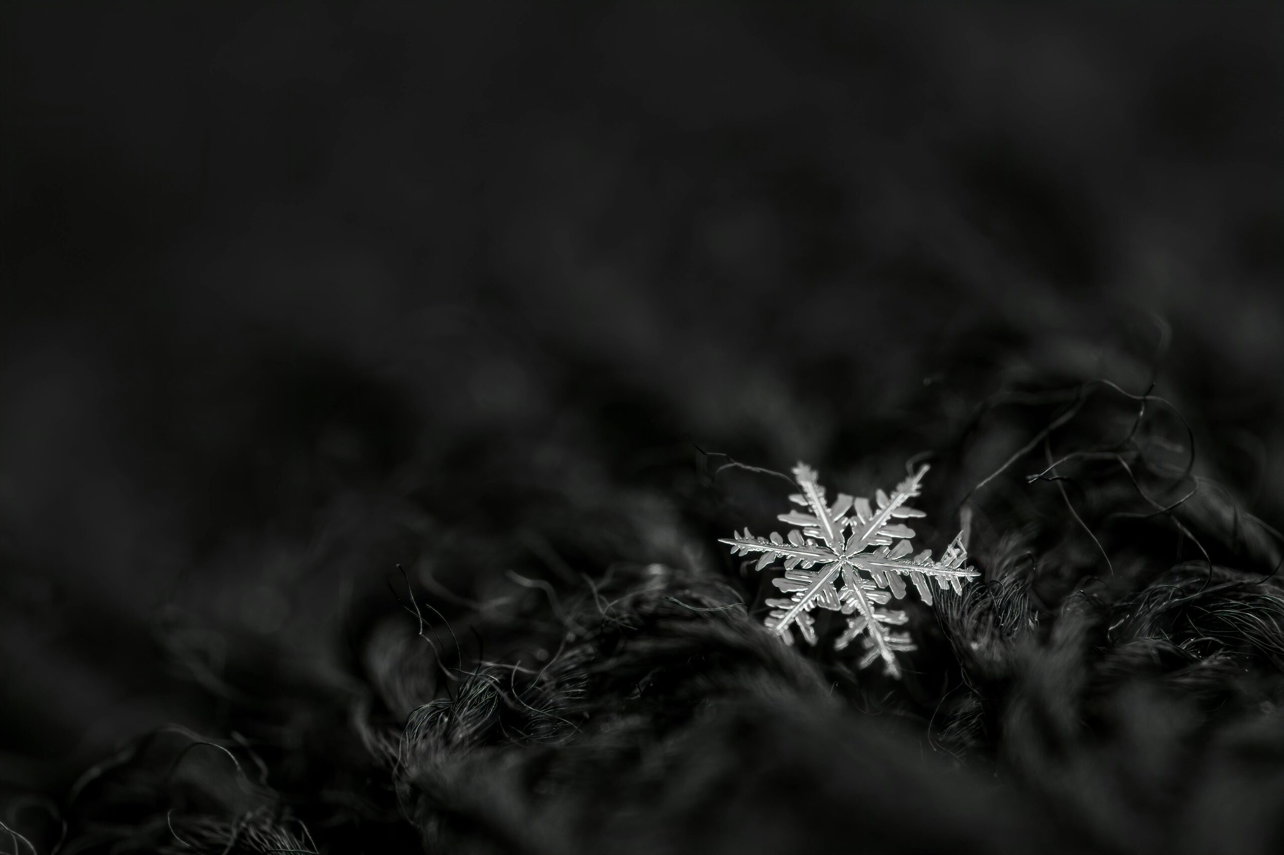 From above black and white of decorative snowflake with pointed edges between thin tangled threads at night