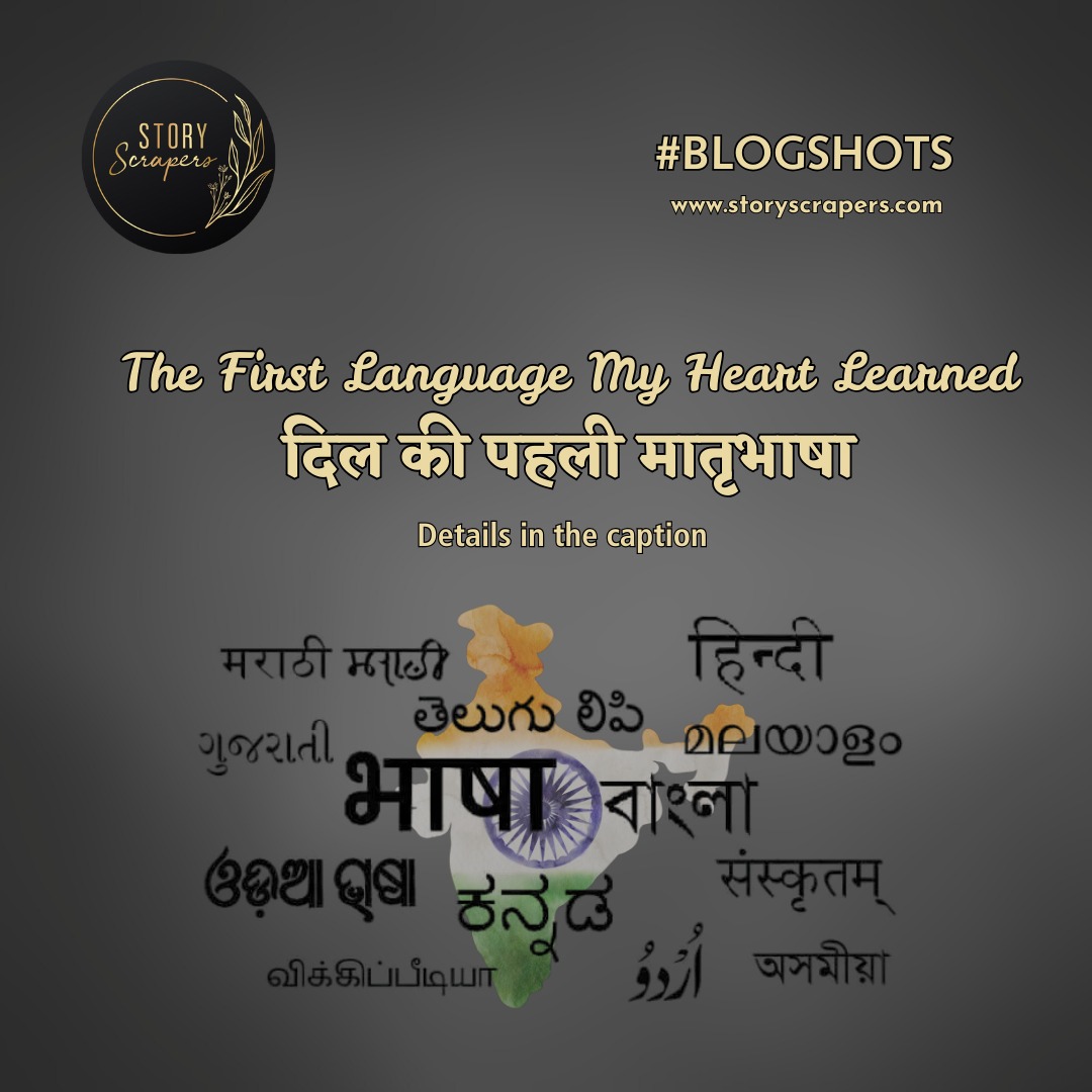 WhatsApp Image 2026-02-16 at 12.50.43 (1)