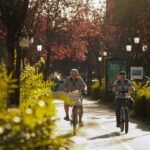 Two elderly men cycling on a sunny day through a tree-lined park pathway in Tirana, Albania.