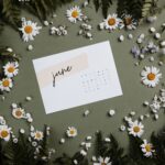 Flat lay of a June calendar surrounded by daisies and ferns on a green background.