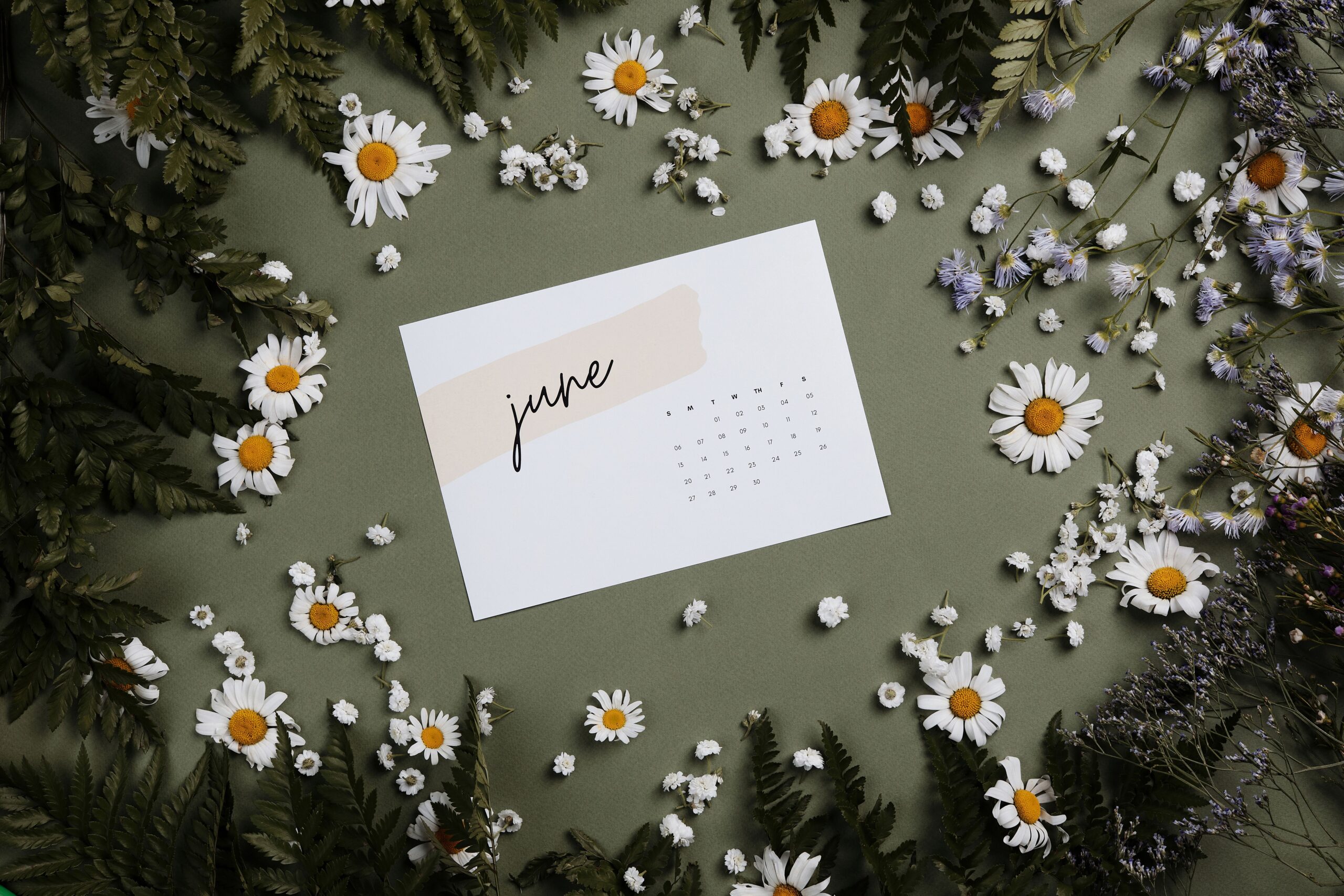 Flat lay of a June calendar surrounded by daisies and ferns on a green background.